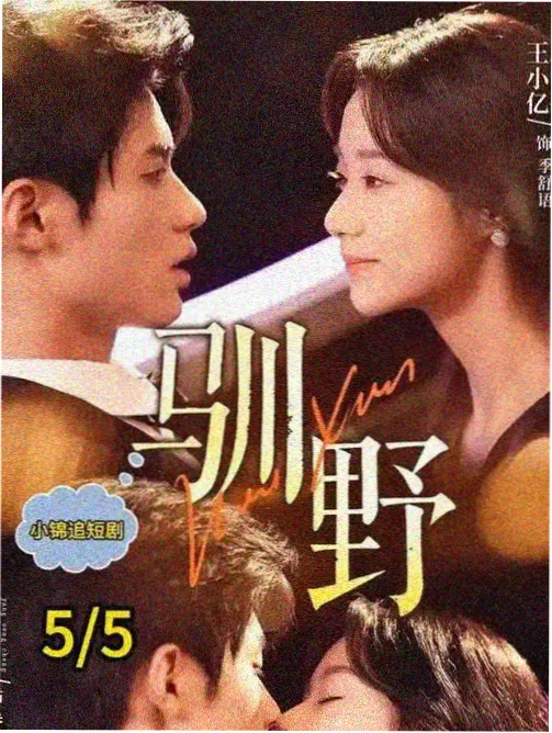 同行评议者原型观测卡配图